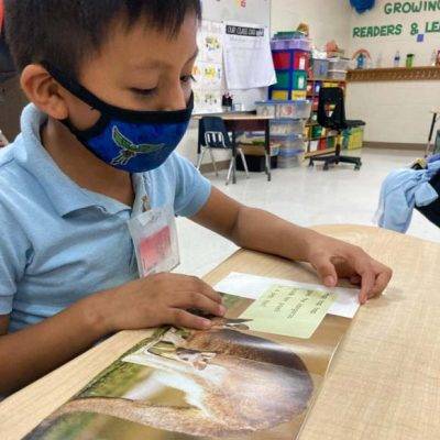 alex reading